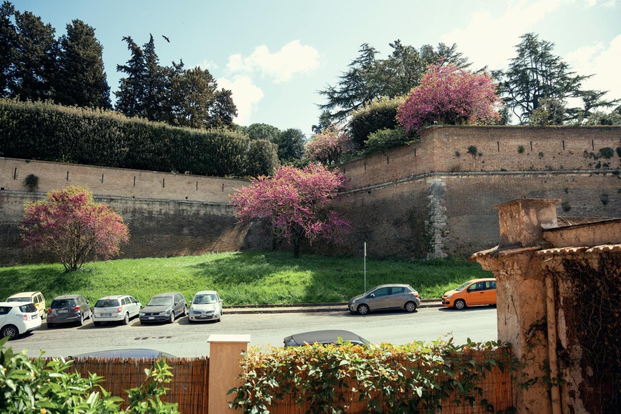 Art House Vaticano Luxury Apartment Roma Exterior foto