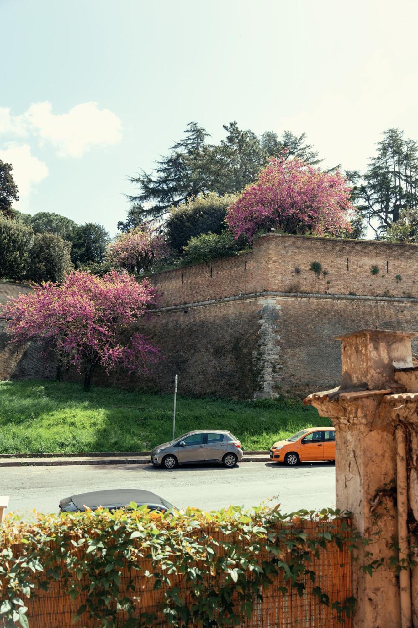 Art House Vaticano Luxury Apartment Roma Exterior foto