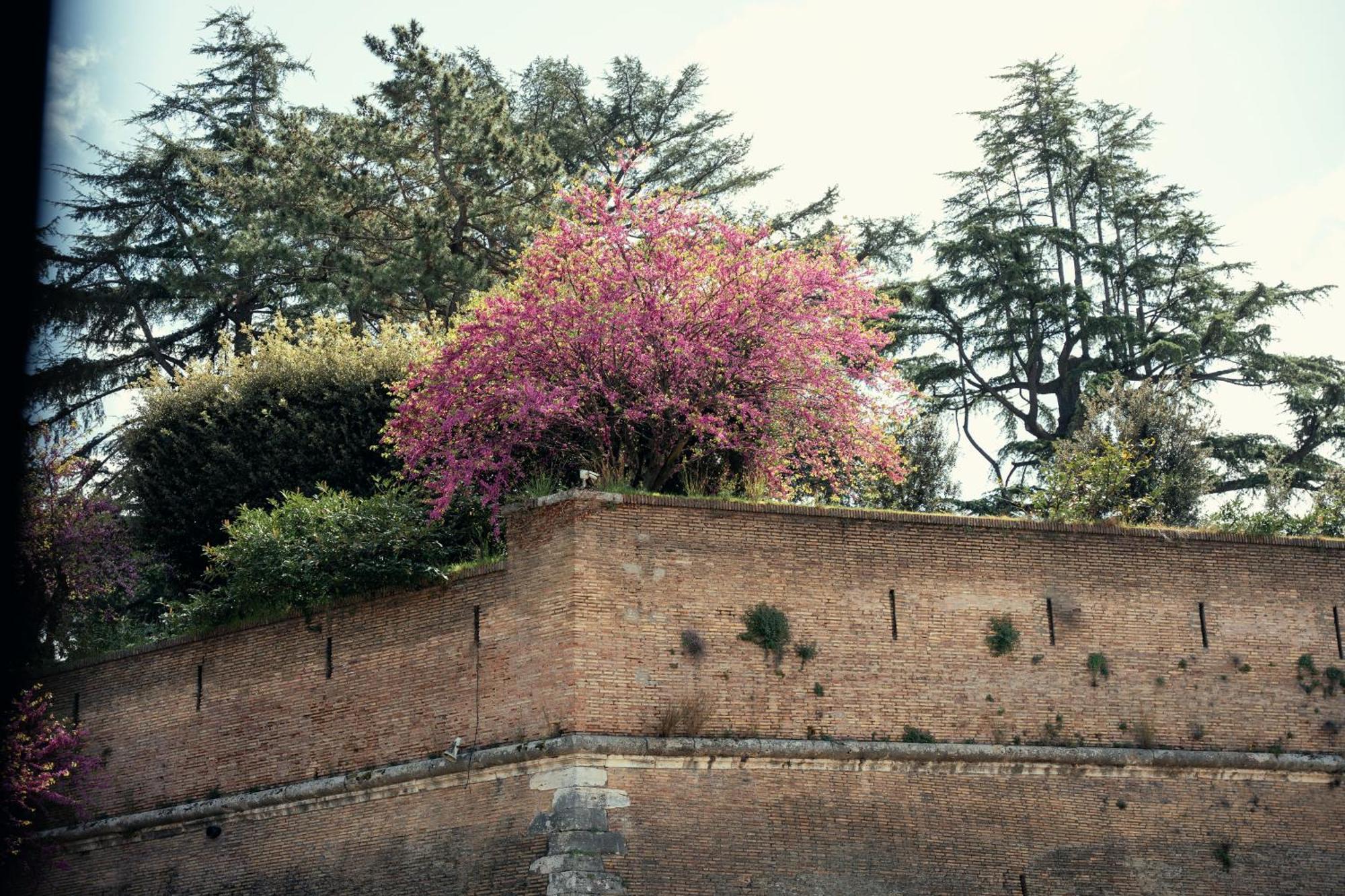 Art House Vaticano Luxury Apartment Roma Exterior foto